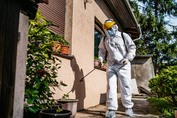 Best Affordable Pest Control Services  in Bridgeport, TX