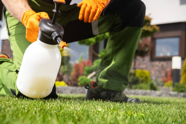 Best Pest Control Treatment  in Bridgeport, TX