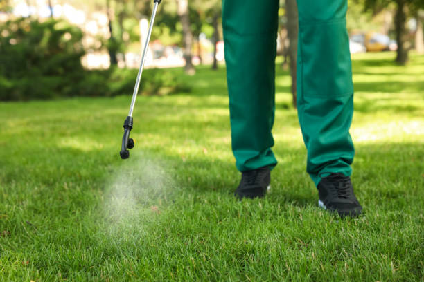 Pest Control Cost in Bridgeport, TX