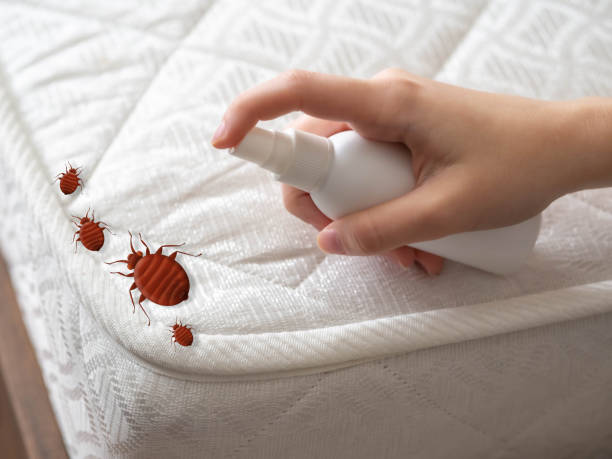 Best Best Pest Control Companies  in Bridgeport, TX