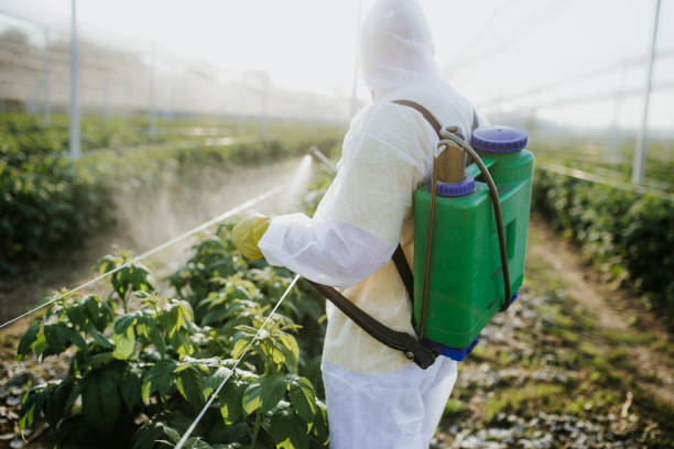 Reliable Bridgeport, TX Pest Control Solutions
